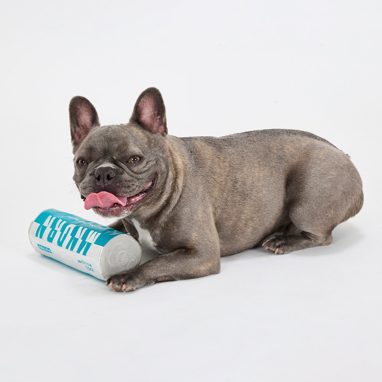 ICY PET PILLOW/アイシーペットピロウ