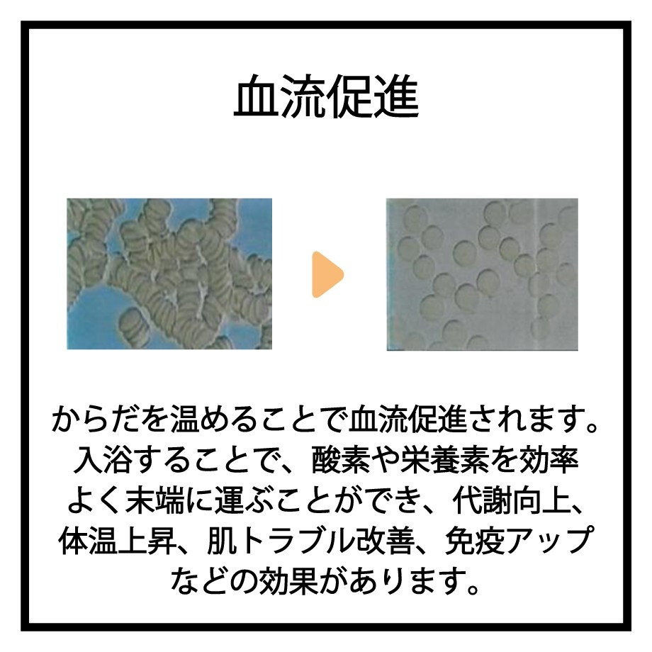 The Third Bath Pet Shampoo/第3のシャンプー 入浴タイプペットシャンプー