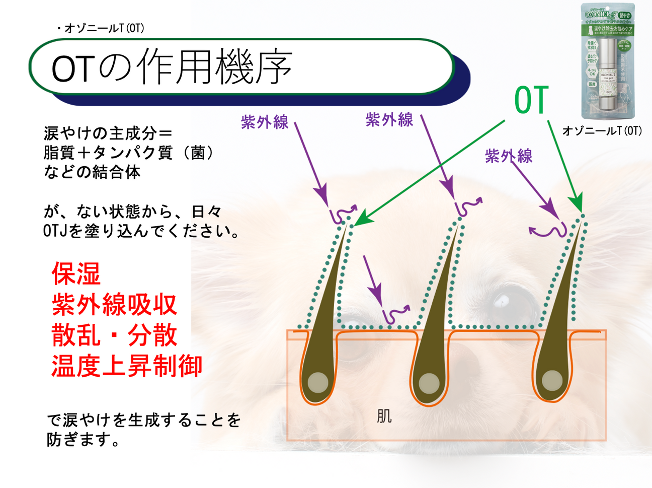 OZONIEL/オゾニール涙やけケア