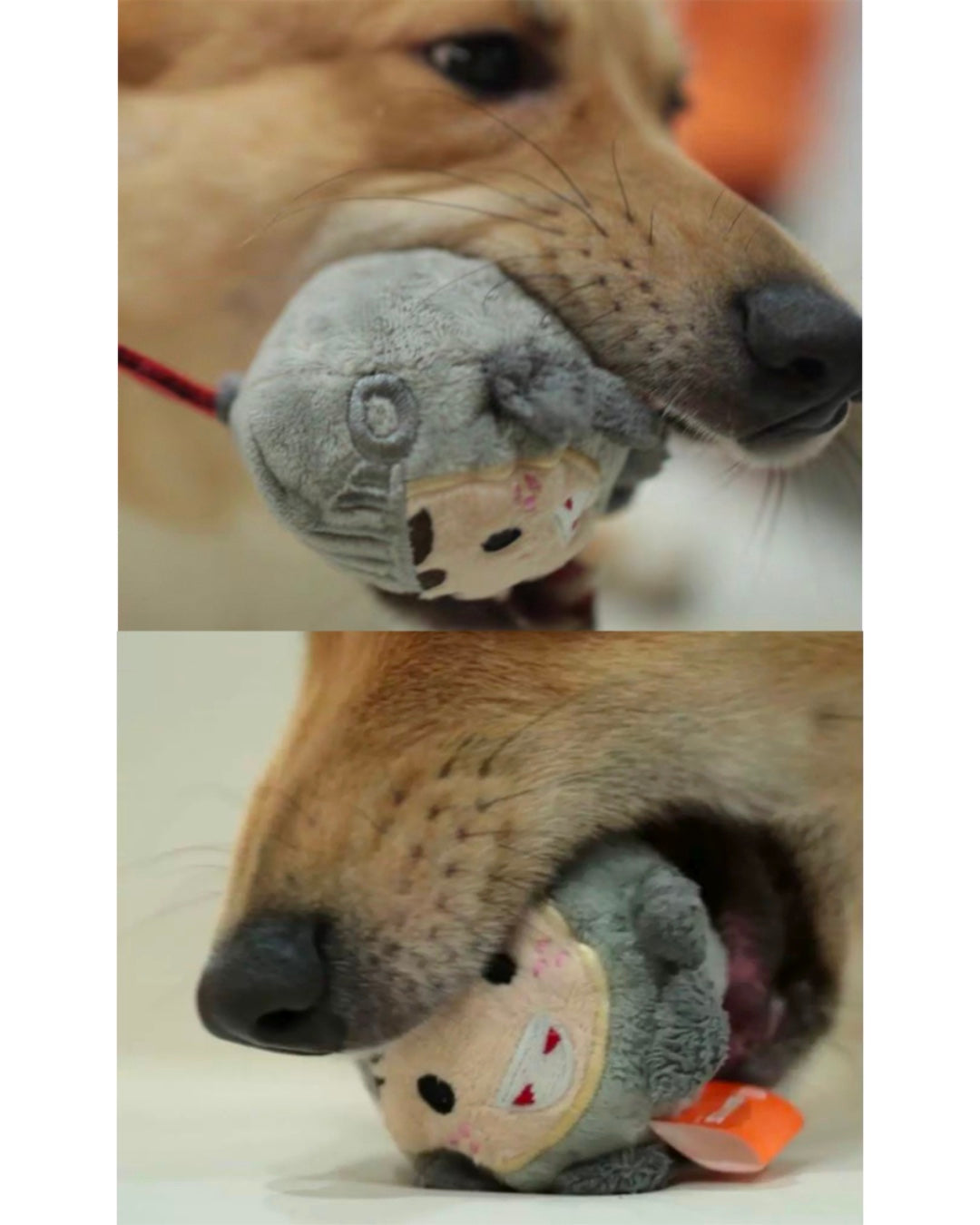 Fairy Tale Plush Dog Toy Series/童話シリーズ ぬいぐるみドッグトイ