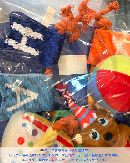 Birthday Party Plush Toy Series for Dogs/バースデーパーティー プラッシュドッグトイシリーズ