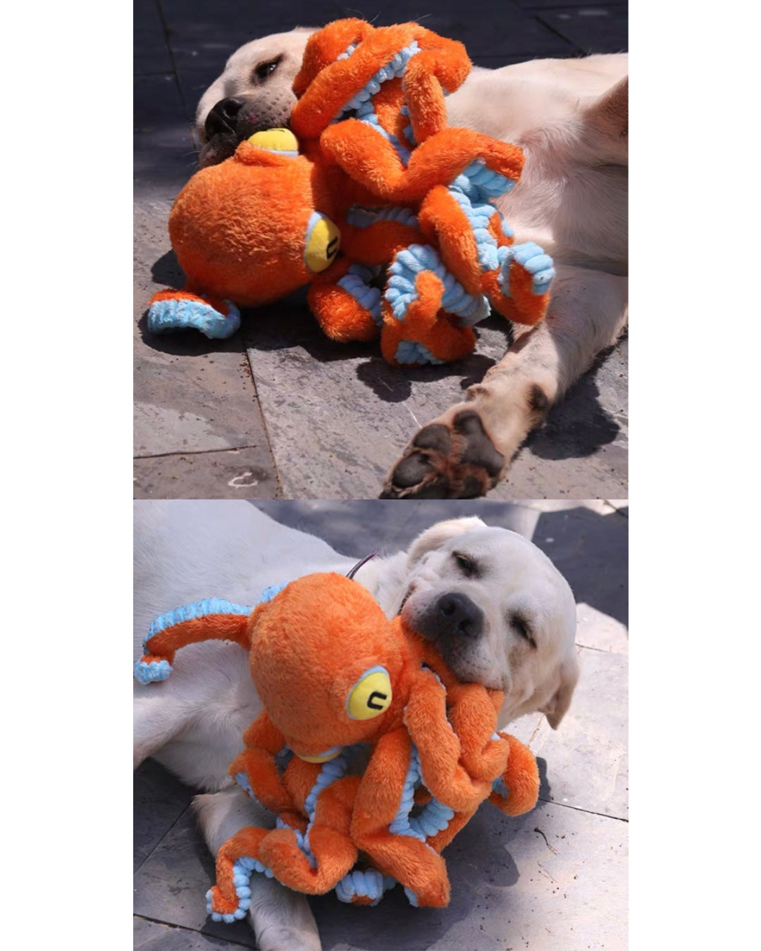 Big Octopus Dog Toy/大章魚モチーフ 発声付きドッグトイ