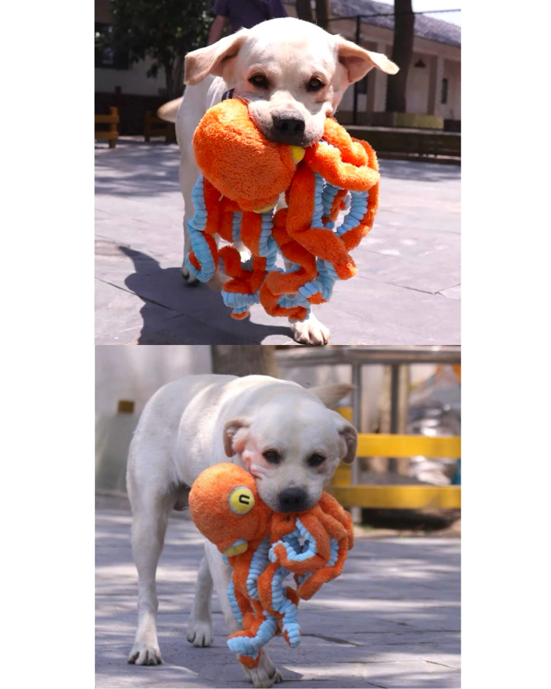 Big Octopus Dog Toy/大章魚モチーフ 発声付きドッグトイ