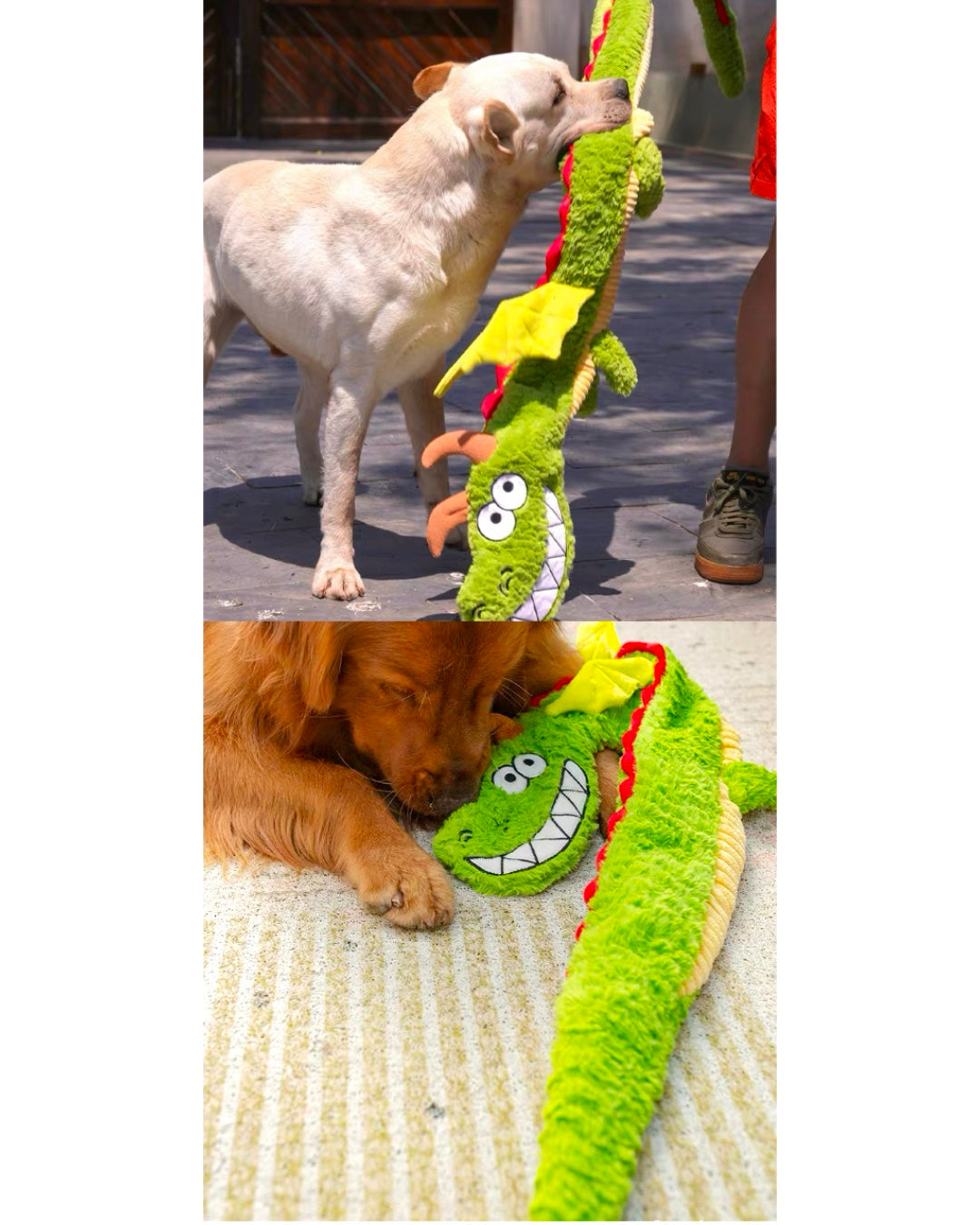 Crinkle Dragon Dog Toy/サウンドペーパー ドラゴン