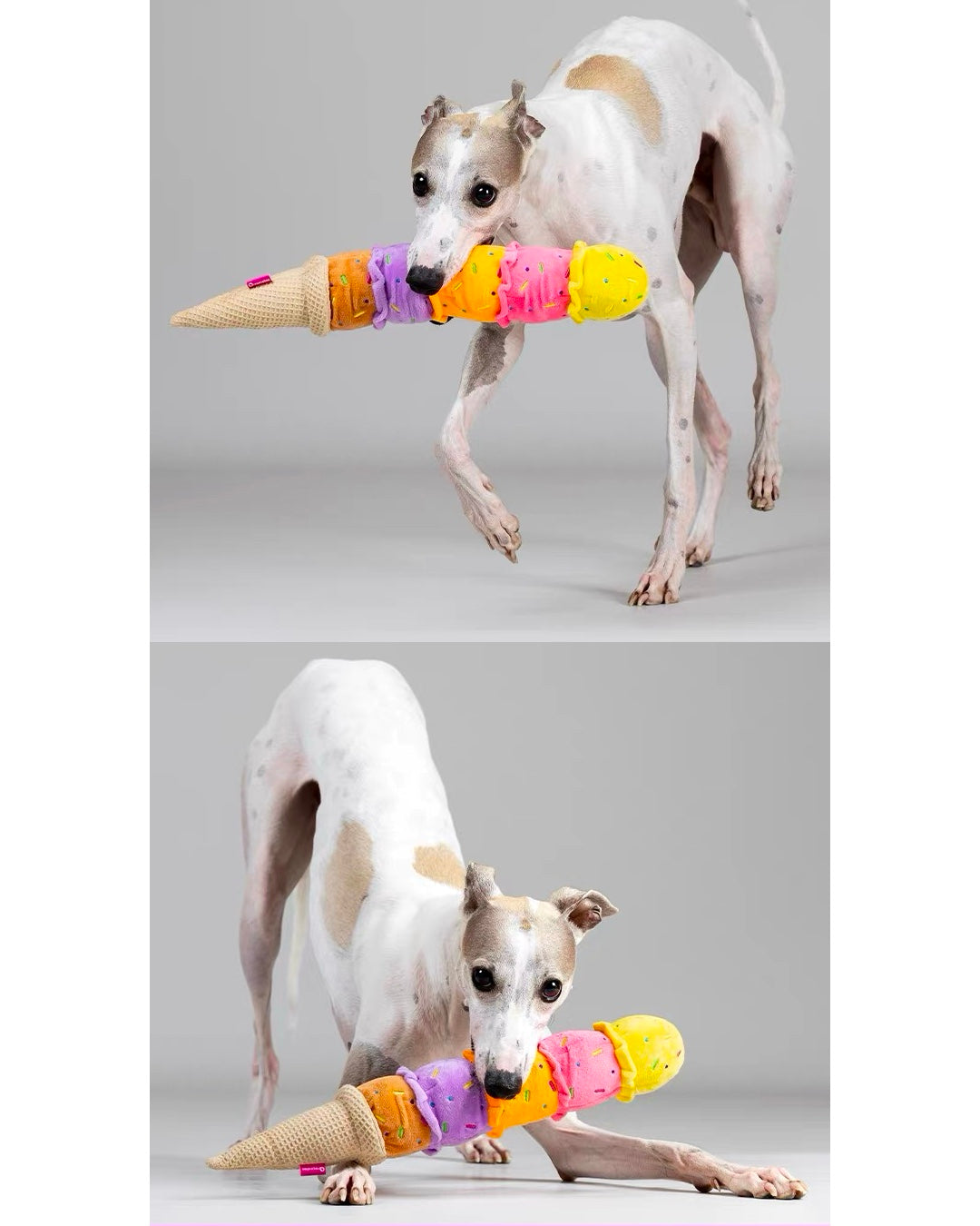 Rainbow Ice Cream Dog Toy/五彩アイスクリーム 犬用おもちゃ
