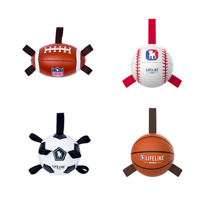 EASY PLAY SPORTS BALL / イージープレイ スポーツボール