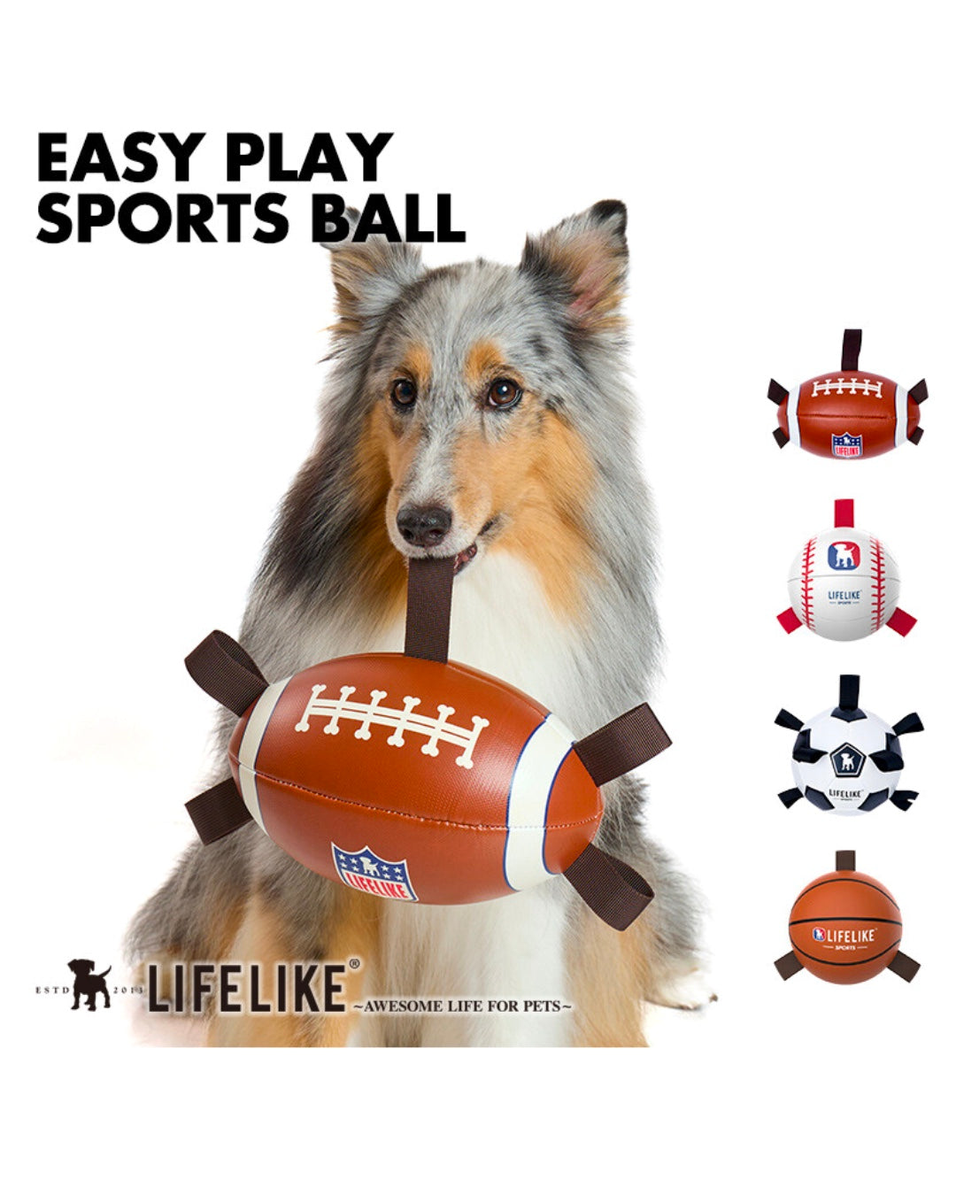 EASY PLAY SPORTS BALL / イージープレイ スポーツボール