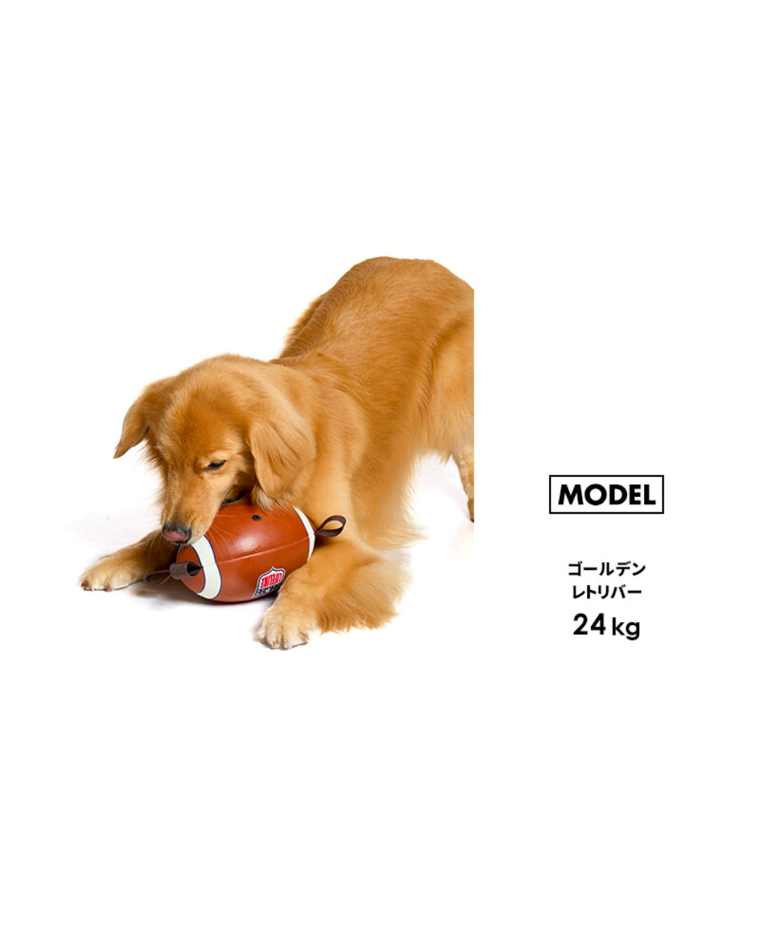 EASY PLAY SPORTS BALL / イージープレイ スポーツボール