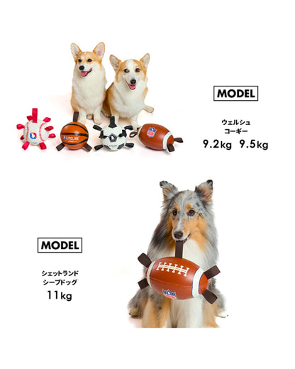 EASY PLAY SPORTS BALL / イージープレイ スポーツボール