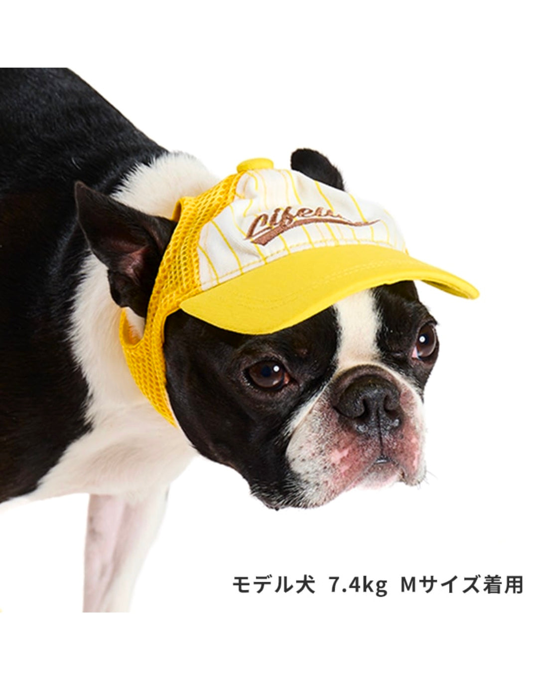 LIFELIKE / ベースボールメッシュキャップ