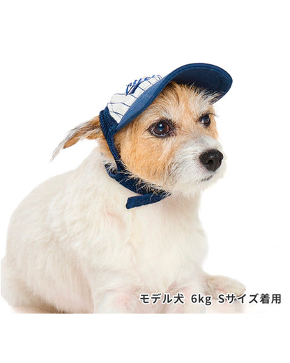 LIFELIKE / ベースボールメッシュキャップ