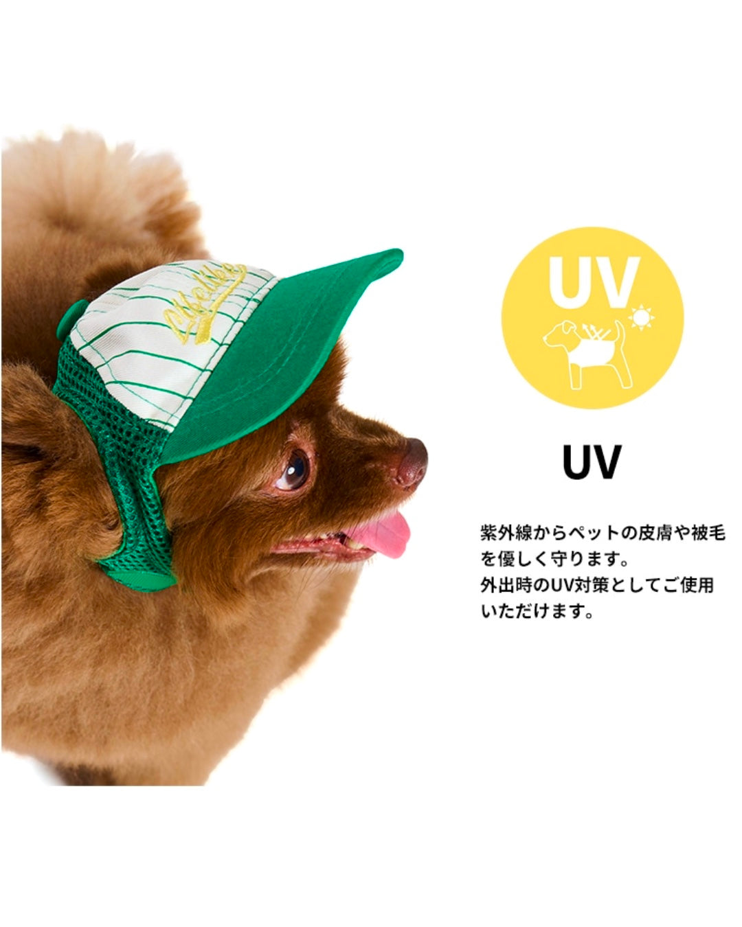 LIFELIKE / ベースボールメッシュキャップ