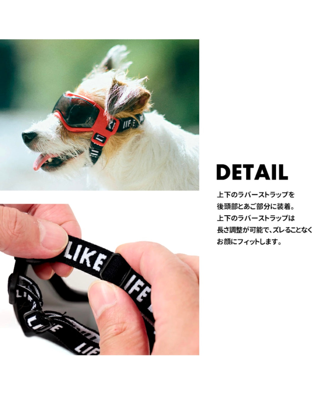 LIFELIKE / ドッグゴーグル