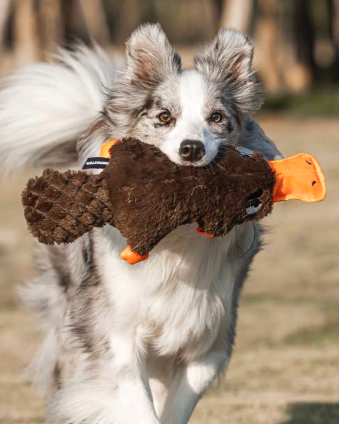 Squeaky Platypus Soft Plush Dog Toy / もふもふカモノハシ スクイーカー入り ドッグトイ
