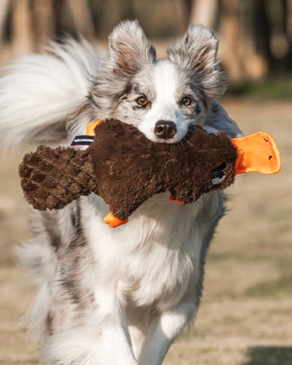 Squeaky Platypus Soft Plush Dog Toy / もふもふカモノハシ スクイーカー入り ドッグトイ