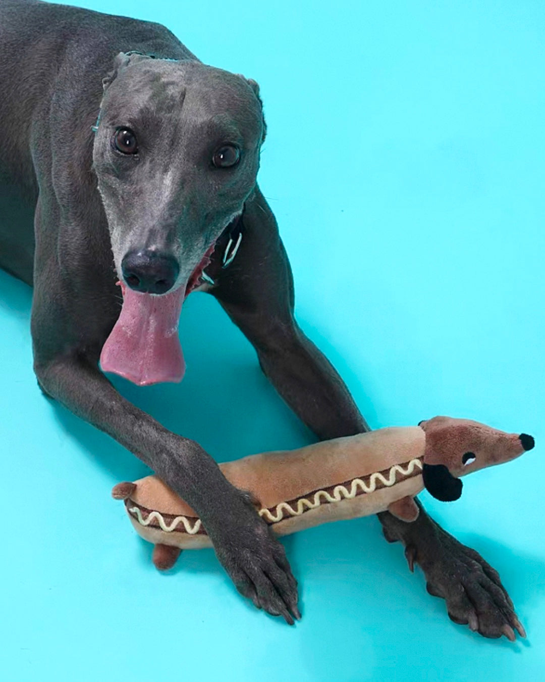 Dachshund Hot Dog Plush Toy / ダックスフンド ホットドッグトイ