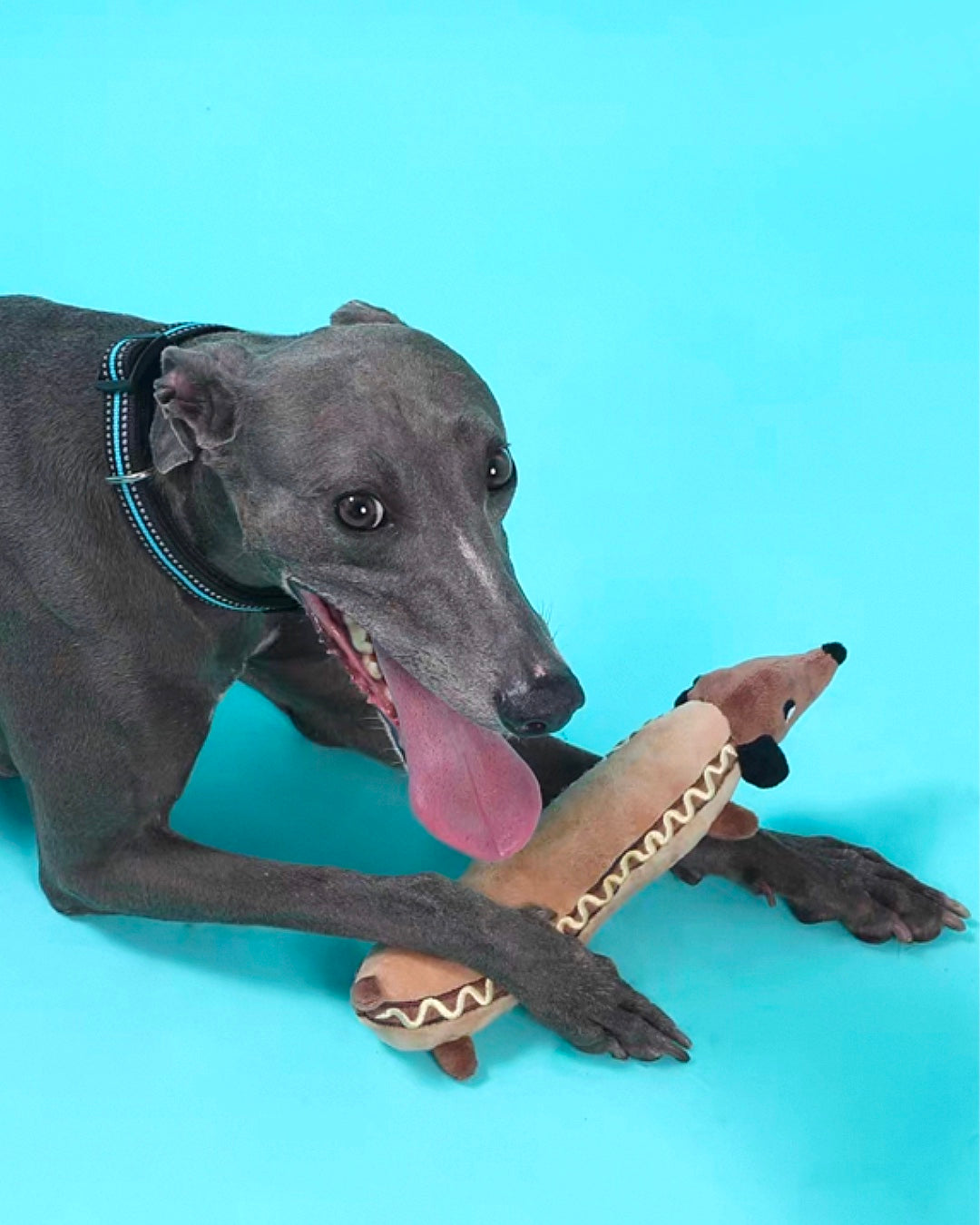 Dachshund Hot Dog Plush Toy / ダックスフンド ホットドッグトイ