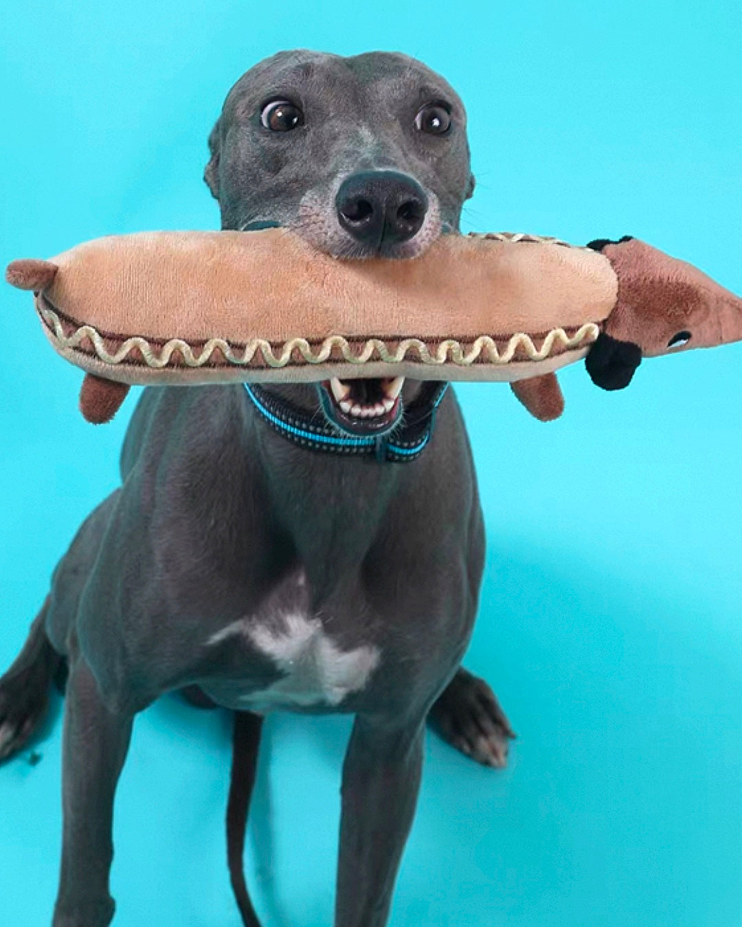 Dachshund Hot Dog Plush Toy / ダックスフンド ホットドッグトイ