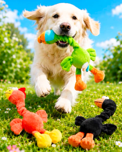 Twist & Squeak Long-Neck Bird Toy / ロングネック バードトイ
