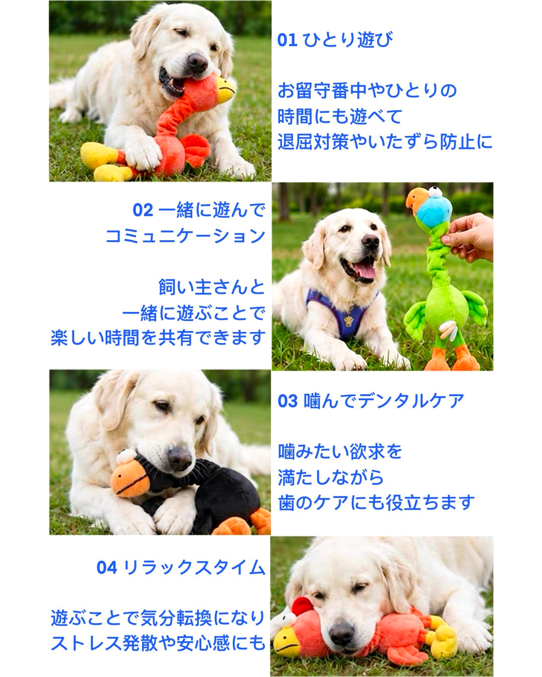 Twist & Squeak Long-Neck Bird Toy / ロングネック バードトイ