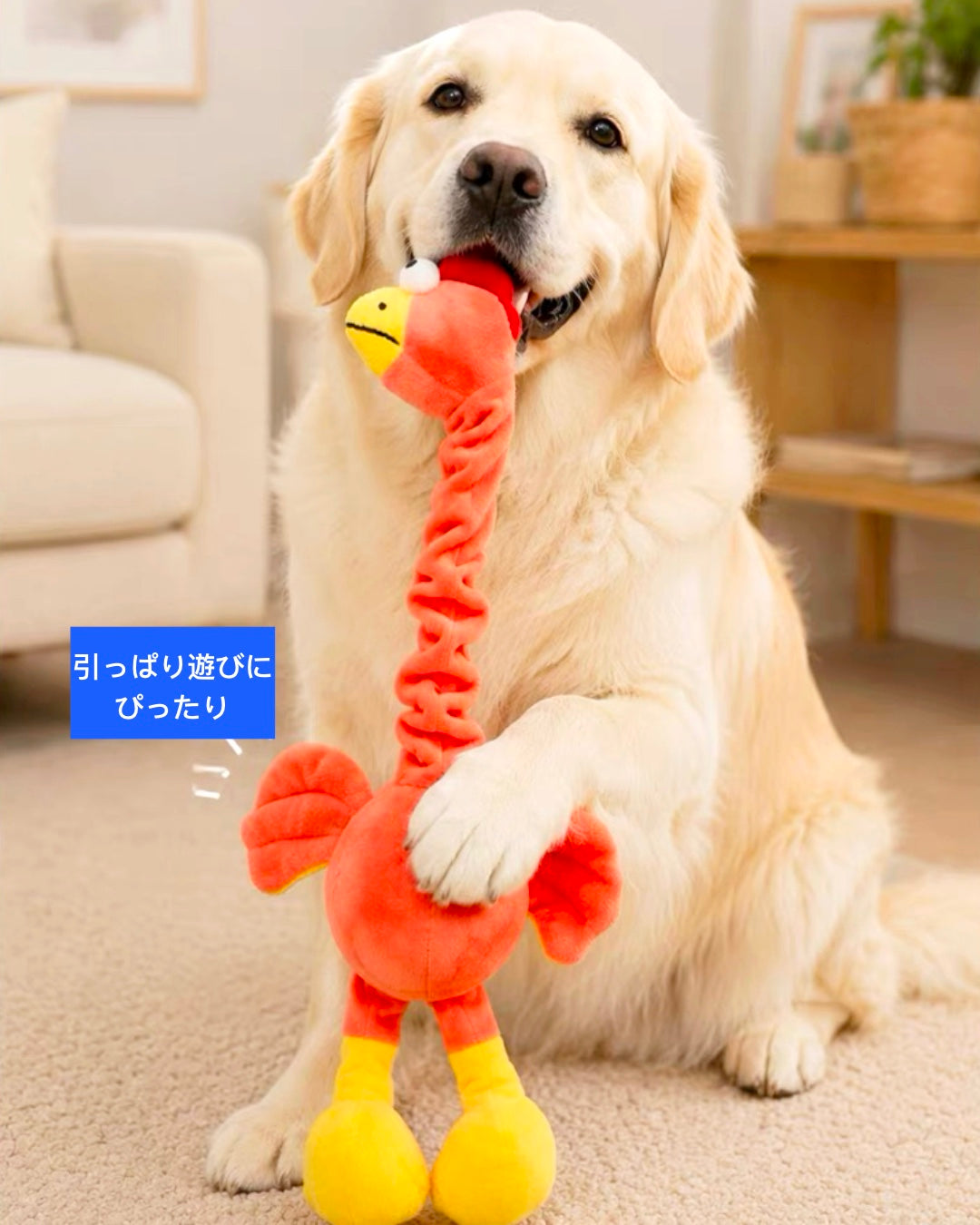 Twist & Squeak Long-Neck Bird Toy / ロングネック バードトイ