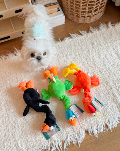 Twist & Squeak Long-Neck Bird Toy / ロングネック バードトイ