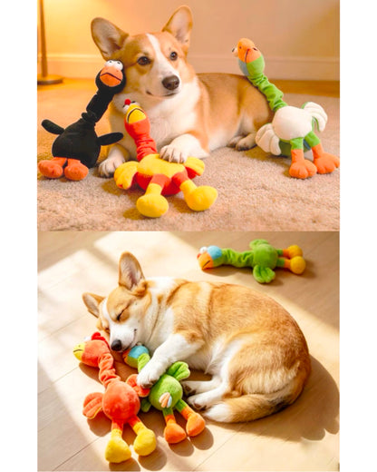 Twist & Squeak Long-Neck Bird Toy / ロングネック バードトイ