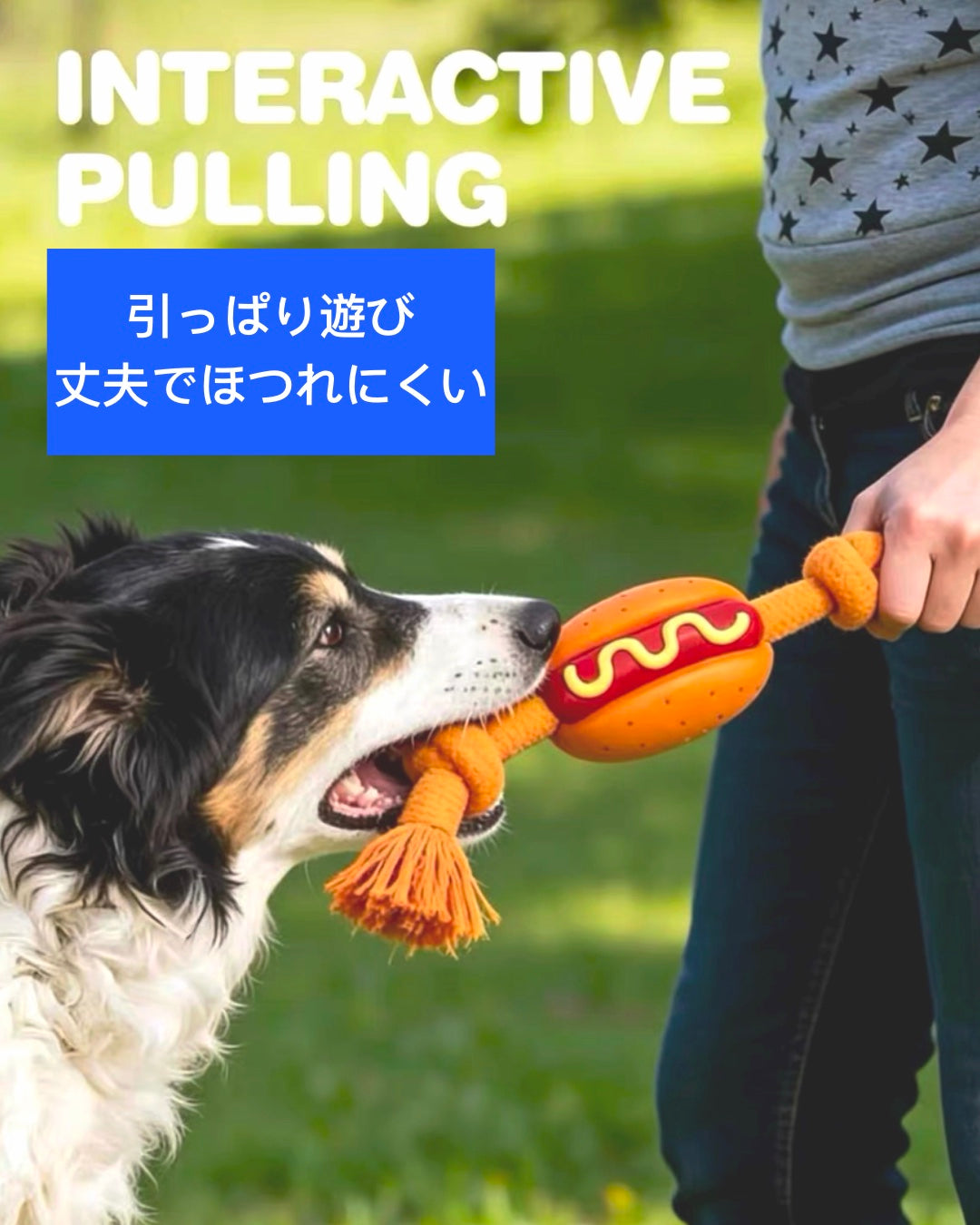 Food Rope Chew Toy / フードモチーフ ロープトイ