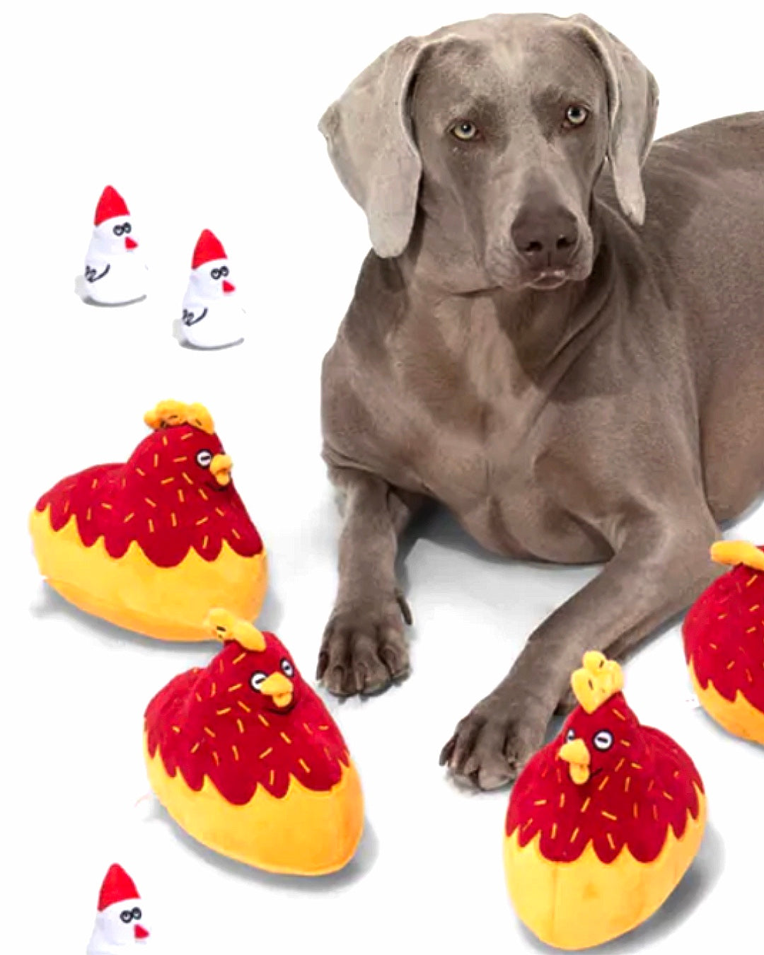 Chicken Hide & Seek Toy / にわとりノーズワークトイ