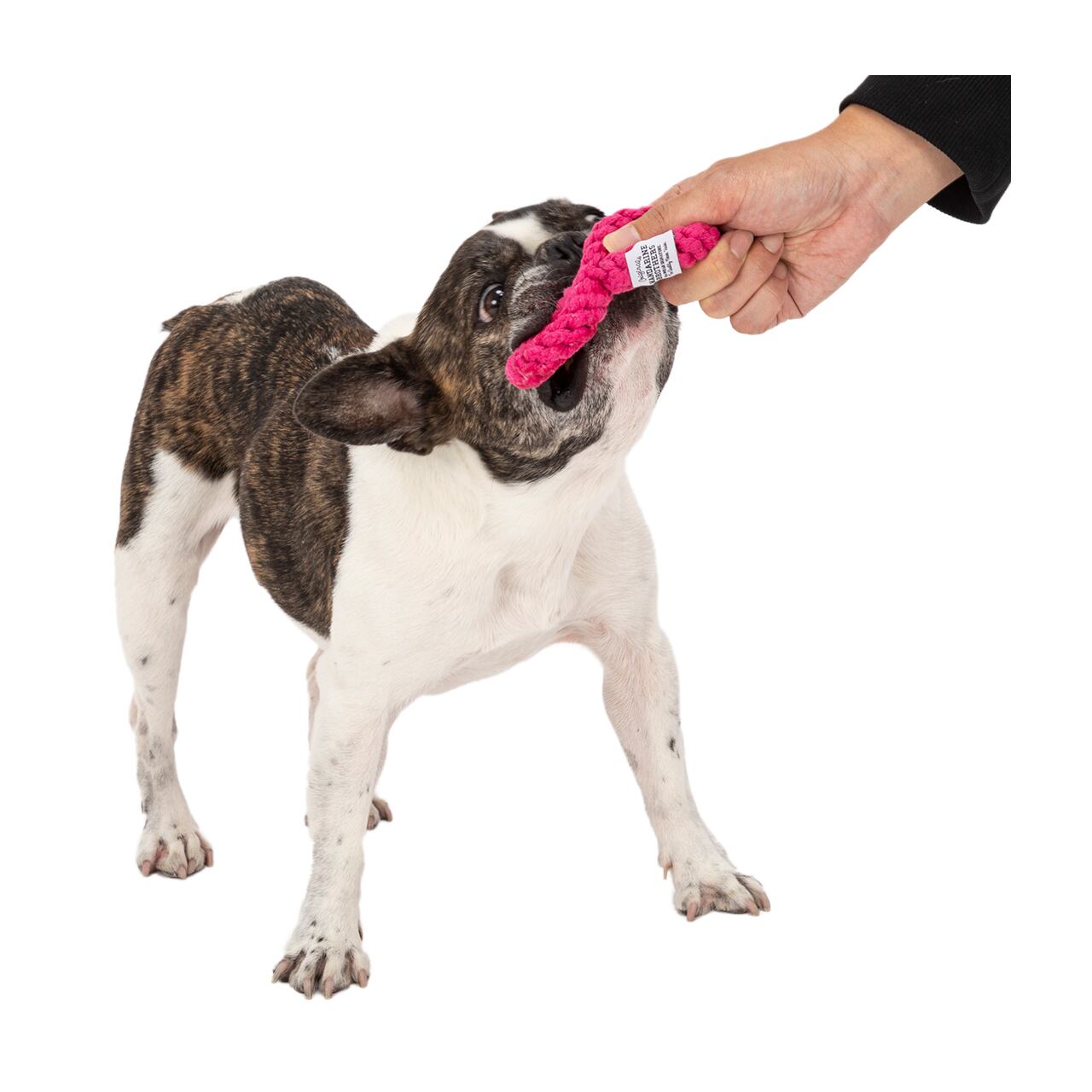 NUMBER ROPE TOY/ナンバーロープトイ