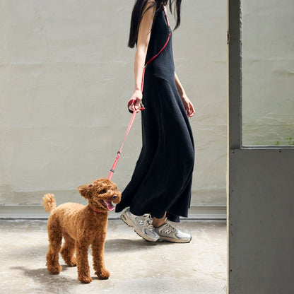 HANDS FREE LEASH / ハンズフリーリーシュ MANDARINE BROTHERS